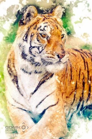 Digitial art picture of a resting Tiger
