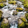 Rocky stream Water flowing over rocks in a forest stream near Dolgoch