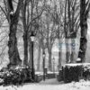 Black and white winter scene Looking through a snow filled alleyway lined with bare trees on a misty winters day.