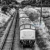 Black and white class 45 hauled train Black and white image of class 45 diesel locomotive D123 recreating a scene from the 1970s and 80s as it heads a train on the Great Central Railway near Loughborough