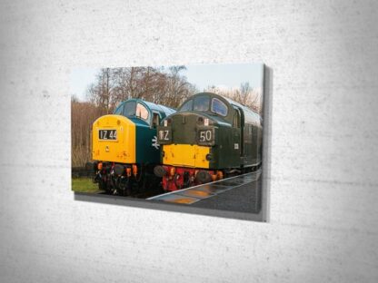 Class 40s D345 and D335 Canvas Print