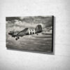 Holding Black and White C47 Canvas Art Print Holding Black and White C47 Canvas Art Print