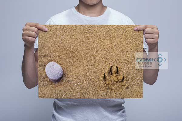 Man Holding Stone and Pawprint Wall Art Print Man Holding Stone and Pawprint Wall Art Print