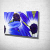 Purple Osteospermum African Daisies Canvas Print