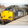 3 DRS Class 37s Wall Art Print 3 DRS Class 37s Wall Art Print