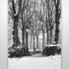 Black and White Winter Scene Wall Art Print Black and White Winter Scene Wall Art Print