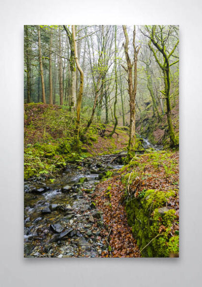 Misty Stream in  a Welsh Forest Wall Art Print