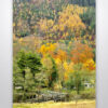 Wooden Bridge in Glen Nevis Art Print