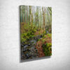 Misty Stream in a Welsh Forest Canvas Print Misty Stream in a Welsh Forest Canvas Print