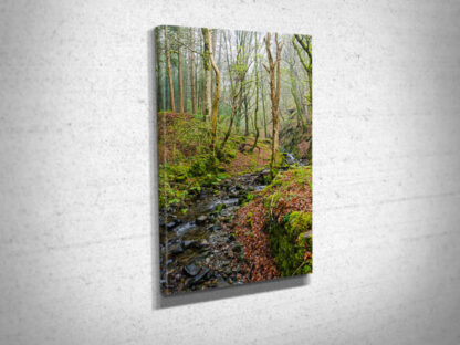 Misty Stream in  a Welsh Forest Canvas Print