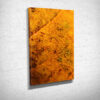 Brown Leaf Textures Canvas Print Brown Leaf Textures Canvas Print