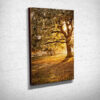 Evening Light Shining Through Trees Canvas Print Evening Light Shining Through Trees Canvas Print