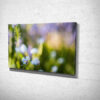 Forget Me Not Flower Canvas Print Forget Me Not Flower Canvas Print