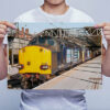 Man Holding 3 DRS Class 37s Wall Art Print Man Holding 3 DRS Class 37s Wall Art Print