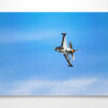 RNLAF F16 Performance Takeoff Wall Art Print RNLAF F16 Performance Takeoff Wall Art Print