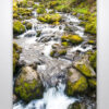 Rocky Stream in Snowdonia Wall Art Print Rocky Stream in Snowdonia Wall Art Print
