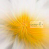 Conceptual Flower Digital Art Conceptual white and yellow conceptual digital art