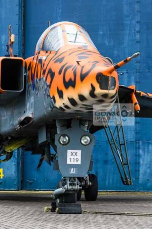 Royal Air Force Jaguar XX119 in special Jaguar colour scheme