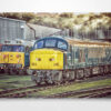 45041 and 50008 Wall Art Print 45041 and 50008 Wall Art Print