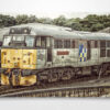 Class 31 31271 Wall Art Print Class 31 31271 Wall Art Print