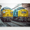 Class 37 and Class 40 Wall Art Print