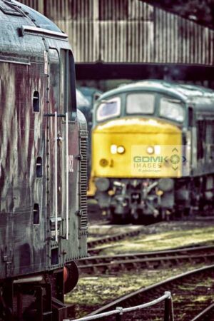 Class 46 and 45041
