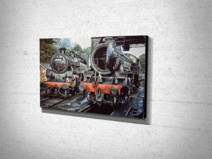 61264 and 80136 Canvas Print