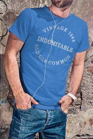 50026 Indomitable Vintage T-Shirt