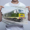 Man Holding Class 35 D7017 Hymek Digital Art Wall Art Print Man Holding Class 35 D7017 Hymek Digital Art Wall Art Print
