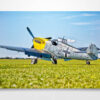 BF109 Buchon Wall Art Print BF109 Buchon Wall Art Print