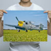 Man Holding BF109 Buchon Wall Art Print Man Holding BF109 Buchon Wall Art Print