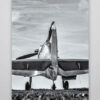 B&W Spitfire Rear View Wall Art Picture B&W Spitfire Rear View Wall Art Picture