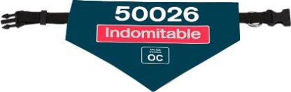 50026 Indomitable dog bandana