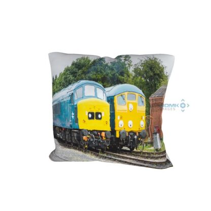 Class 45 45149 and Class 24 D5081 cushion