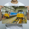 Man Holding 50017 Royal Oak and 50026 Indomitable Inside Kidderminster Depot Wall Art Print Man Holding 50017 Royal Oak and 50026 Indomitable Inside Kidderminster Depot Wall Art Print