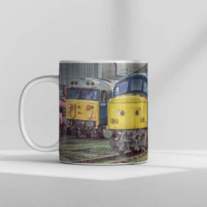 45041 + 50008 NVR mug