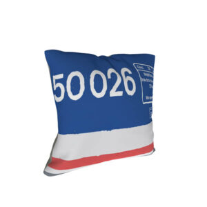 Class 50 50026 Network SouthEast Revised Data Panel Cushion