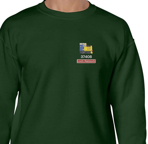 37408 LL Green sweatshirt