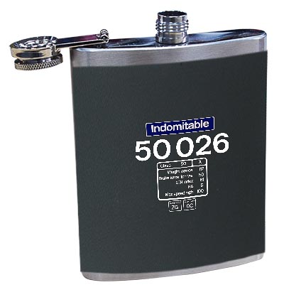 50026 Data Panel Hip Flask