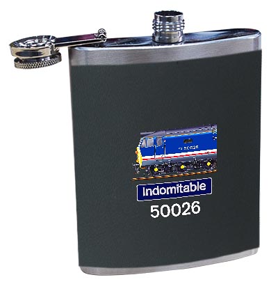 50026 NSE Revised Hip Flask