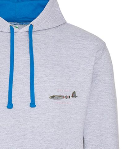 Mosquito Grey and Blue hoodie