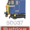 50037 LA Departmental