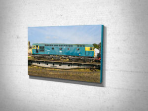 26007 on Turntable Canvas Print 26007 on Turntable Canvas Print