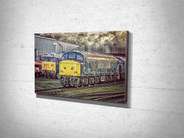 45041 and 50008 Canvas Print 45041 and 50008 Canvas Print