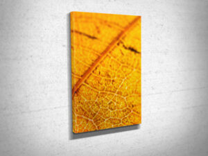 Abstract Closeup of Veins on a Brown Leaf Canvas Print Abstract Closeup of Veins on a Brown Leaf Canvas Print