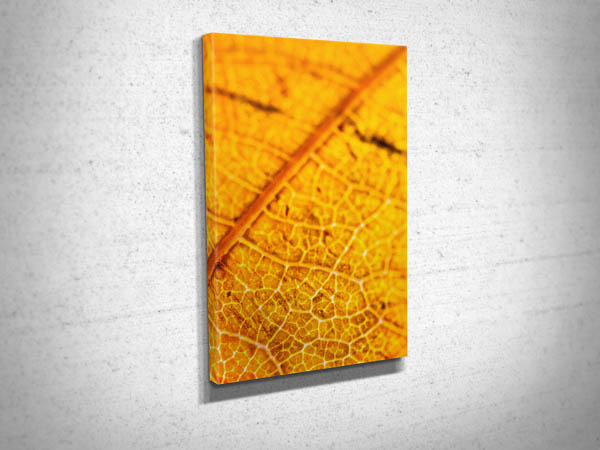 Abstract Closeup of Veins on a Brown Leaf Canvas Print Abstract Closeup of Veins on a Brown Leaf Canvas Print