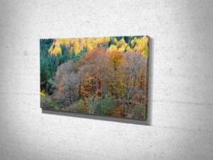 Autumn Coloured Trees in Glen Nevis Canvas Print Autumn Coloured Trees in Glen Nevis Canvas Print