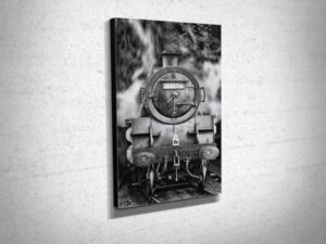 Black and White 80136 at Pickering Canvas Print Black and White 80136 at Pickering Canvas Print