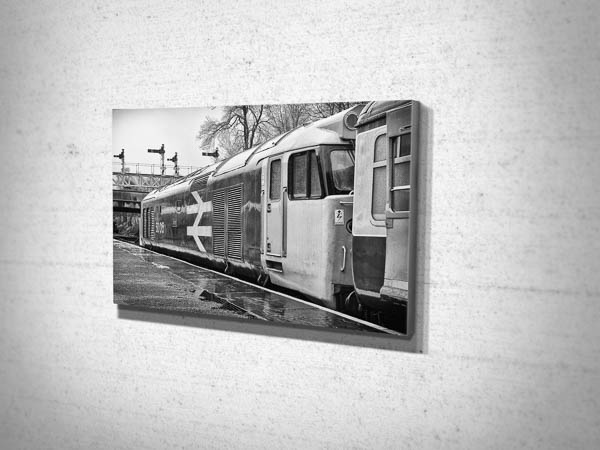 Black and White Class 50 Loco 50015 in the Rain Canvas Print Black and White Class 50 Loco 50015 in the Rain Canvas Print