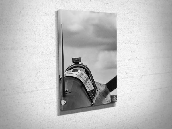 Black and White Hurricane Rear View Canvas Art Print